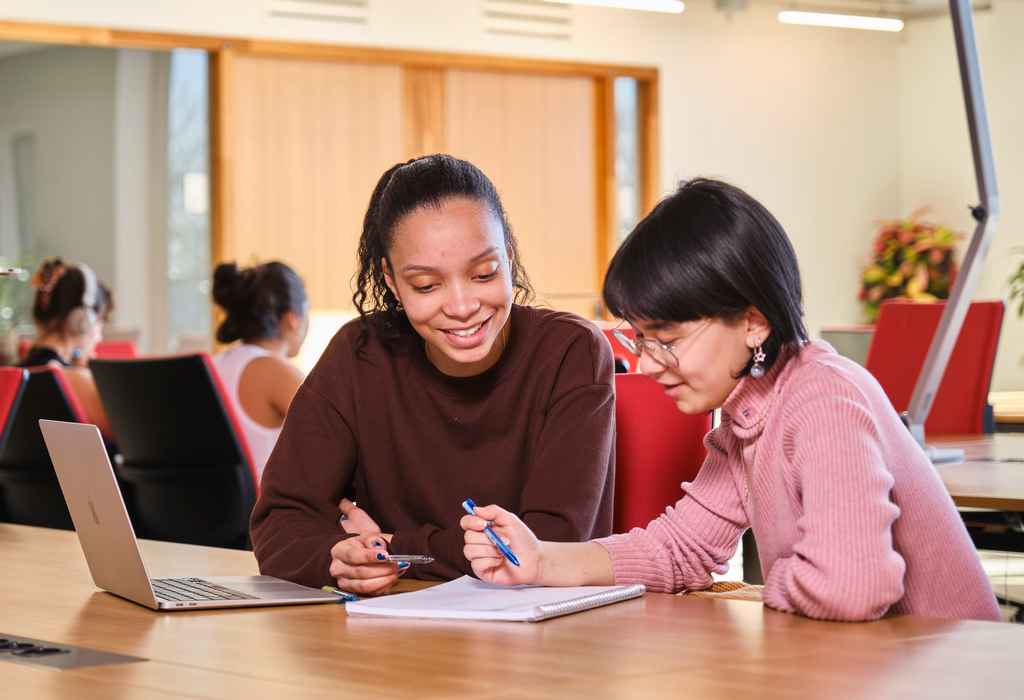 Students seated and facing the camera on the stairs at AUC